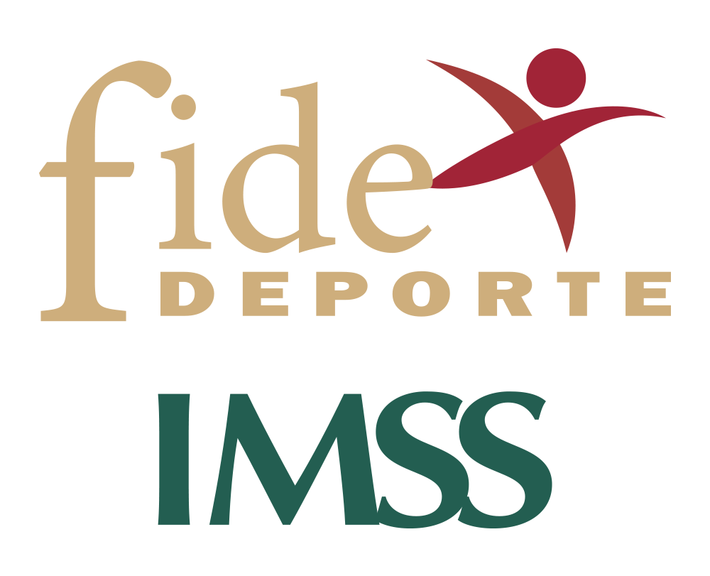 Logo fideimss
